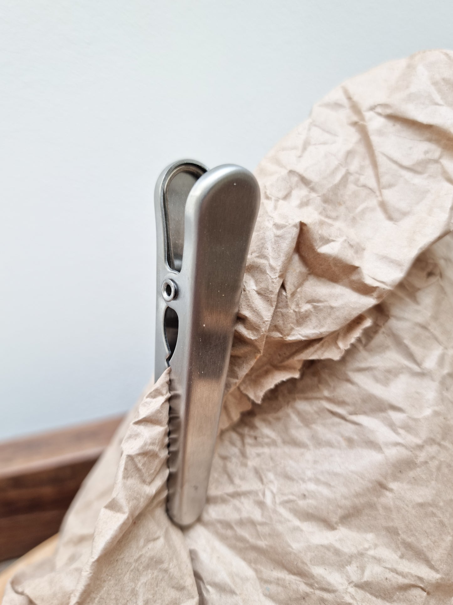 Stainless Steel Silver Clips