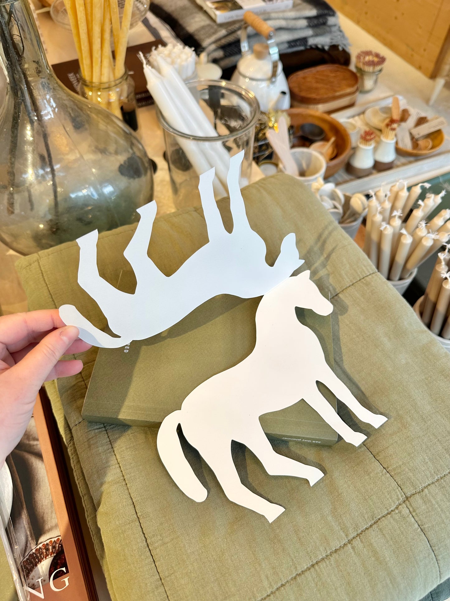 The Wild Craft Book