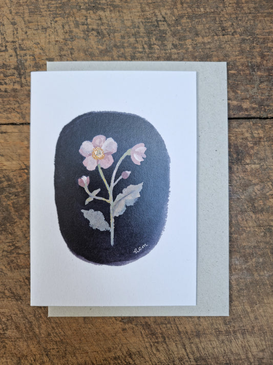 Anemone Card
