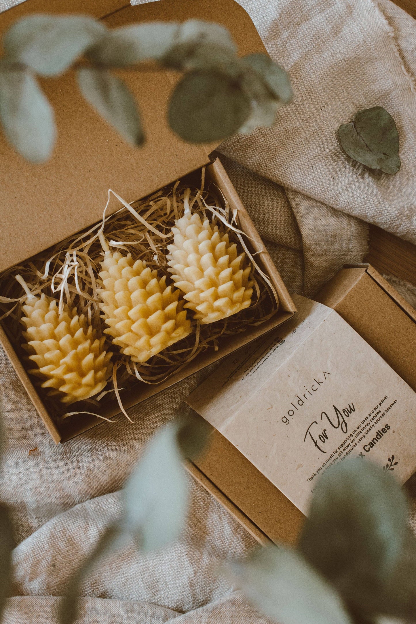 Pine Cone Candle Gift Set