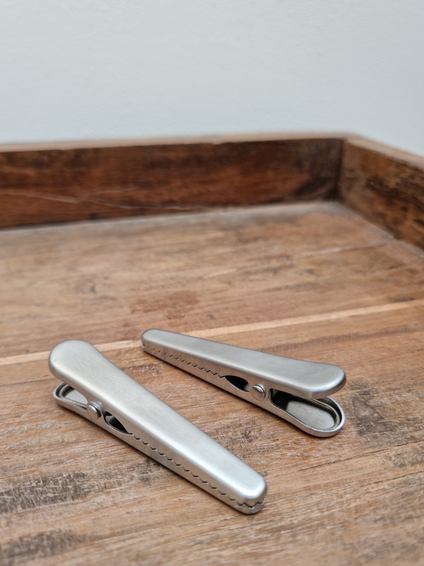 Stainless Steel Silver Clips