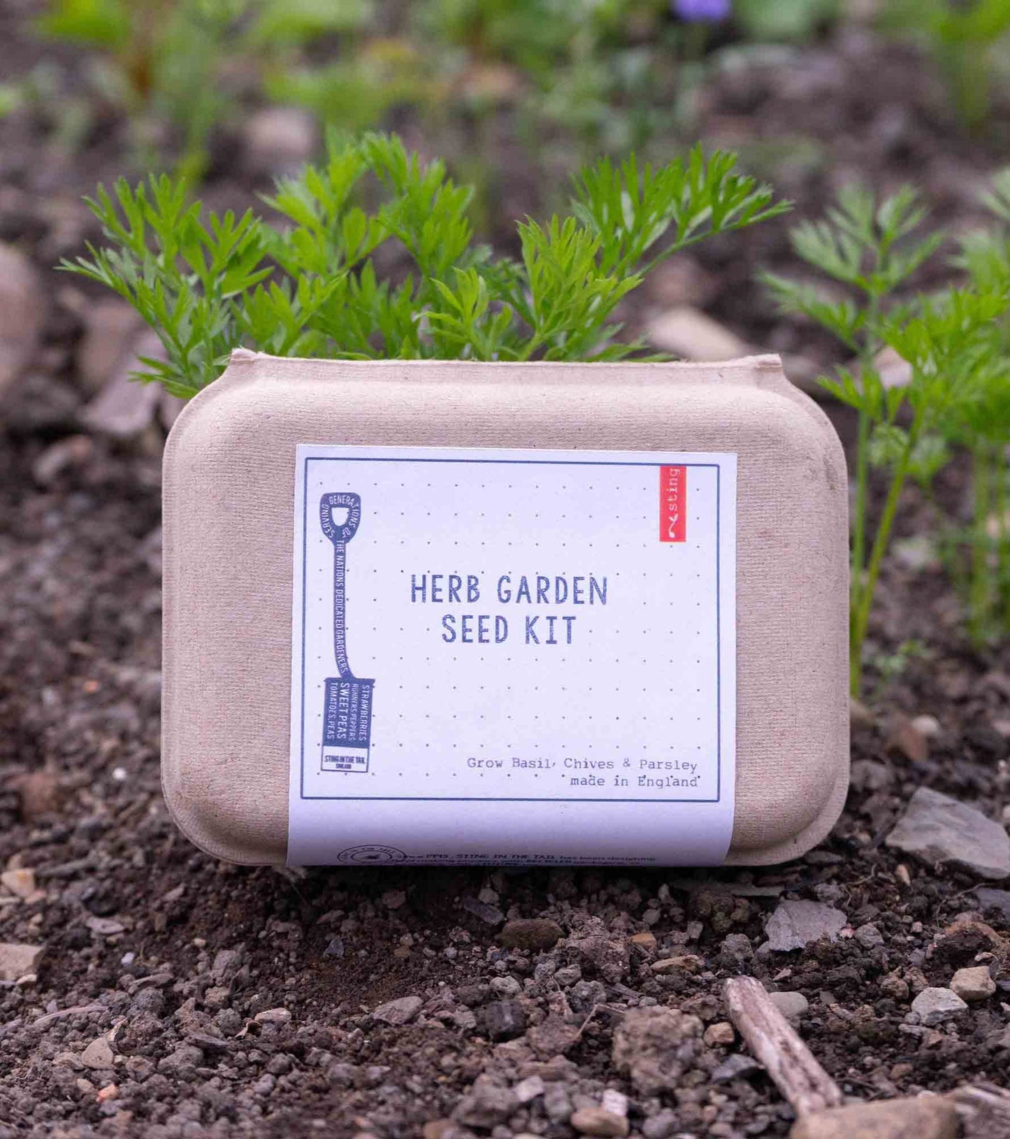 Herb Garden Seed Kit | Kitchen