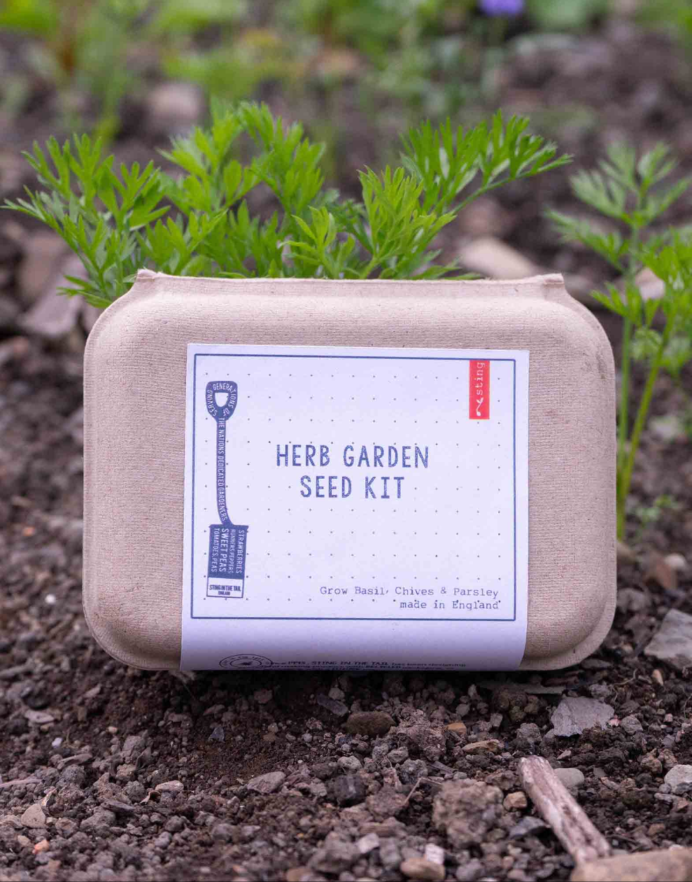 Herb Garden Seed Kit | Kitchen