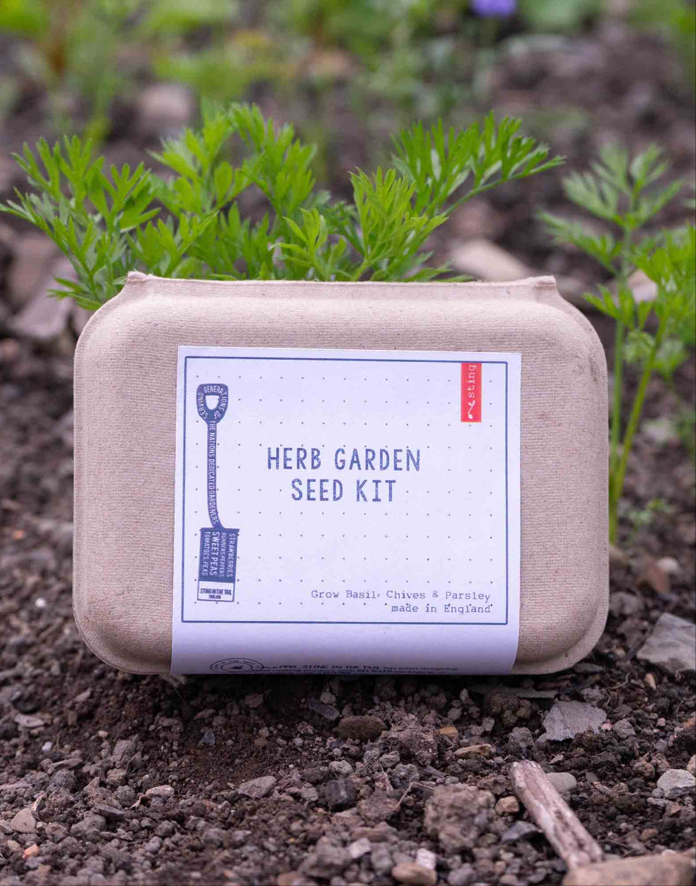 Herb Garden Seed Kit | Kitchen