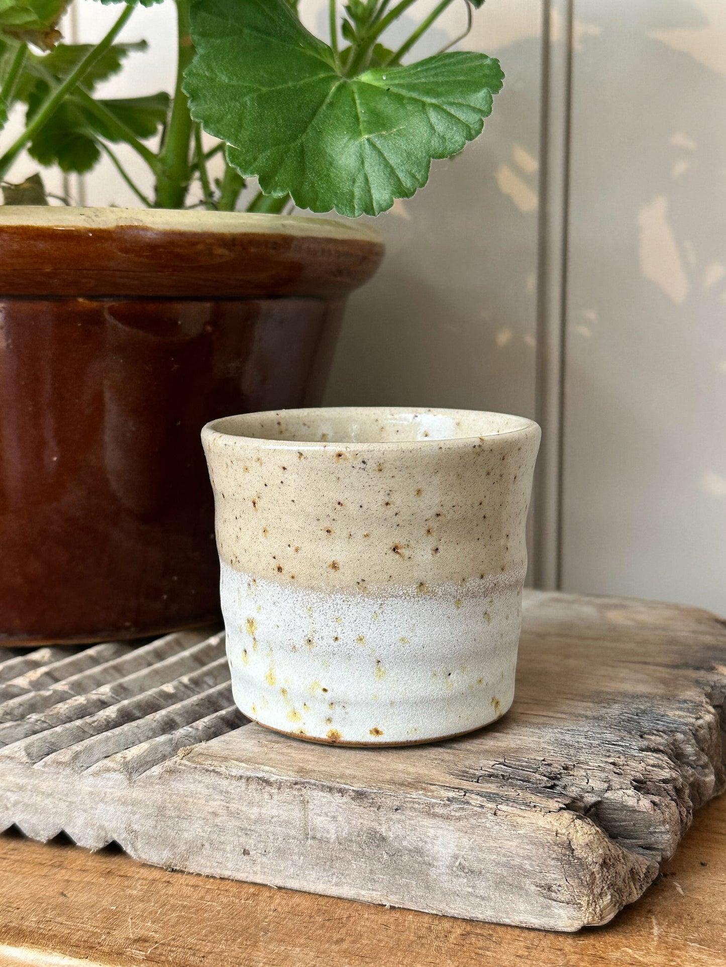 Lichen Espresso Cup | Bel Holland