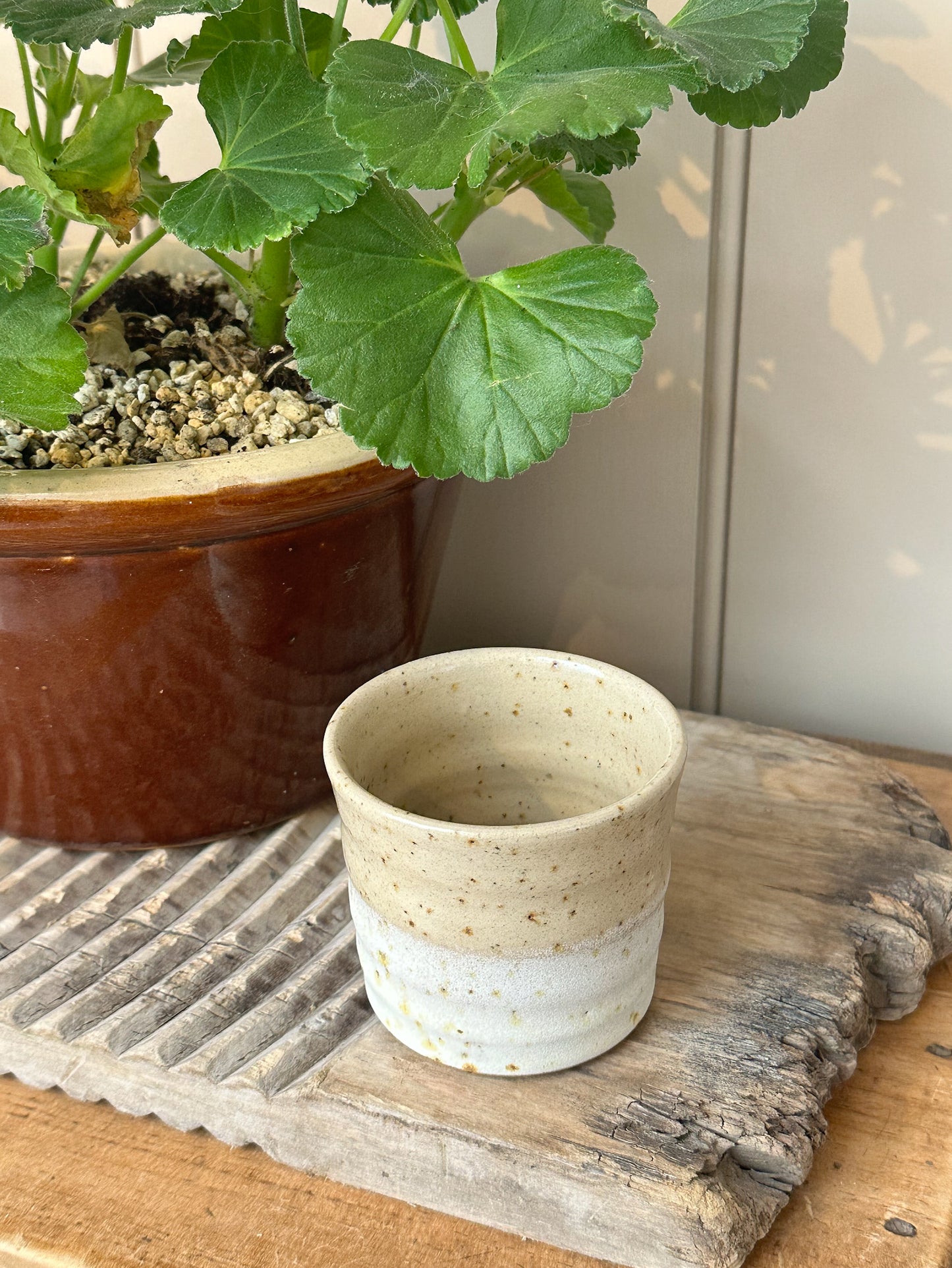 Lichen Espresso Cup | Bel Holland