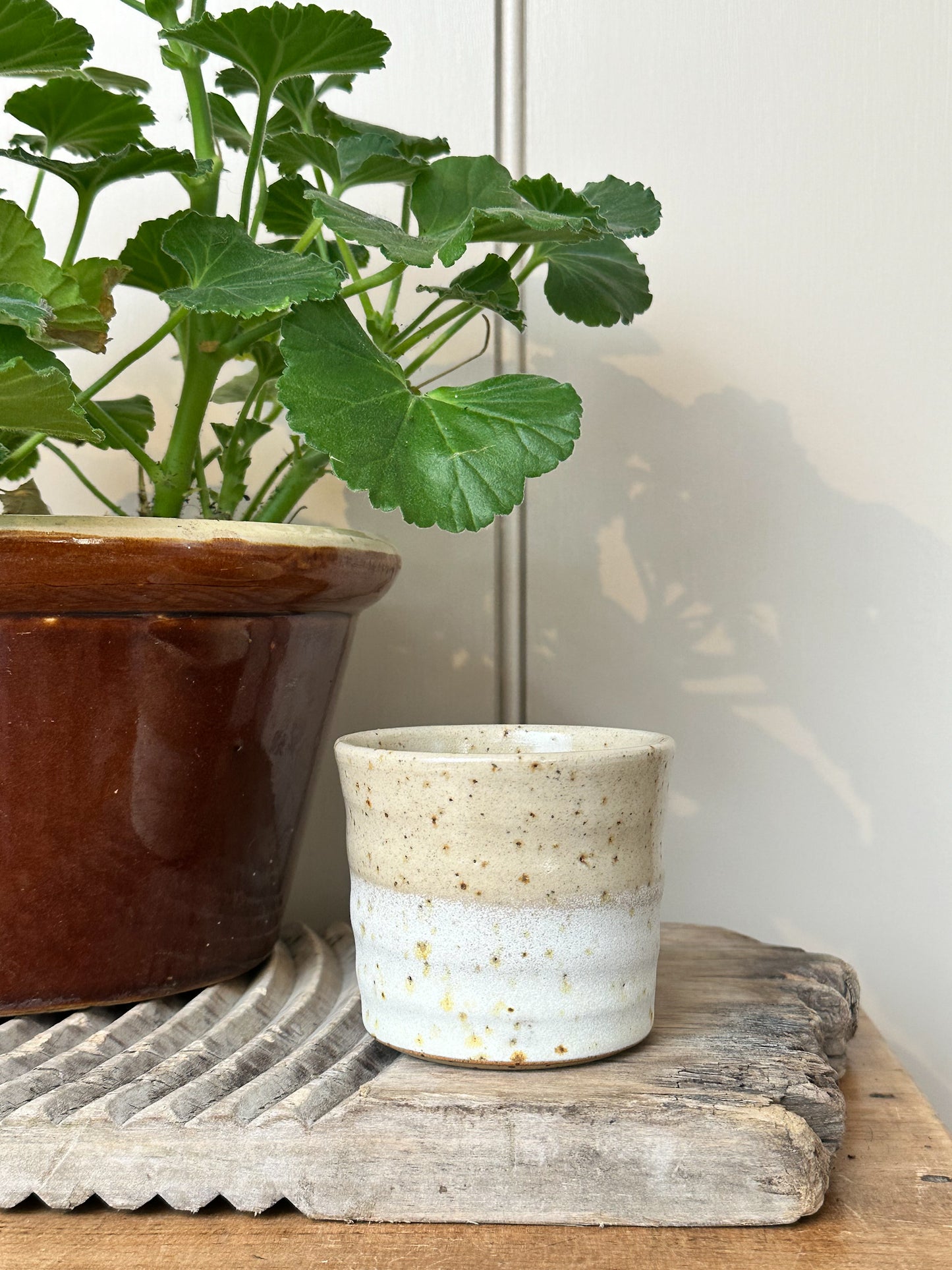 Lichen Espresso Cup | Bel Holland