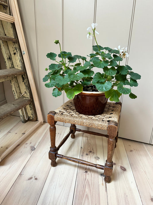 Vintage Woven Stool | Dark Wood