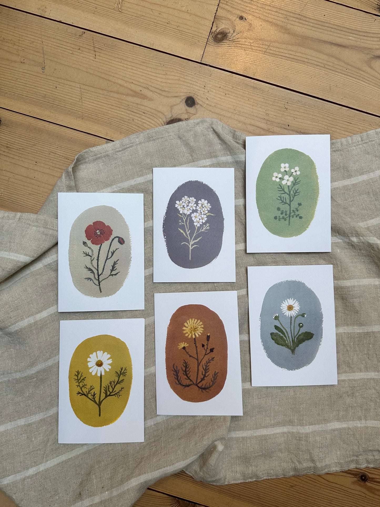 Flower Study Card Set