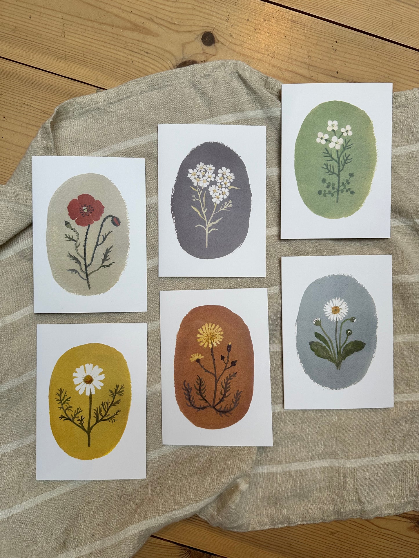 Flower Study Card Set