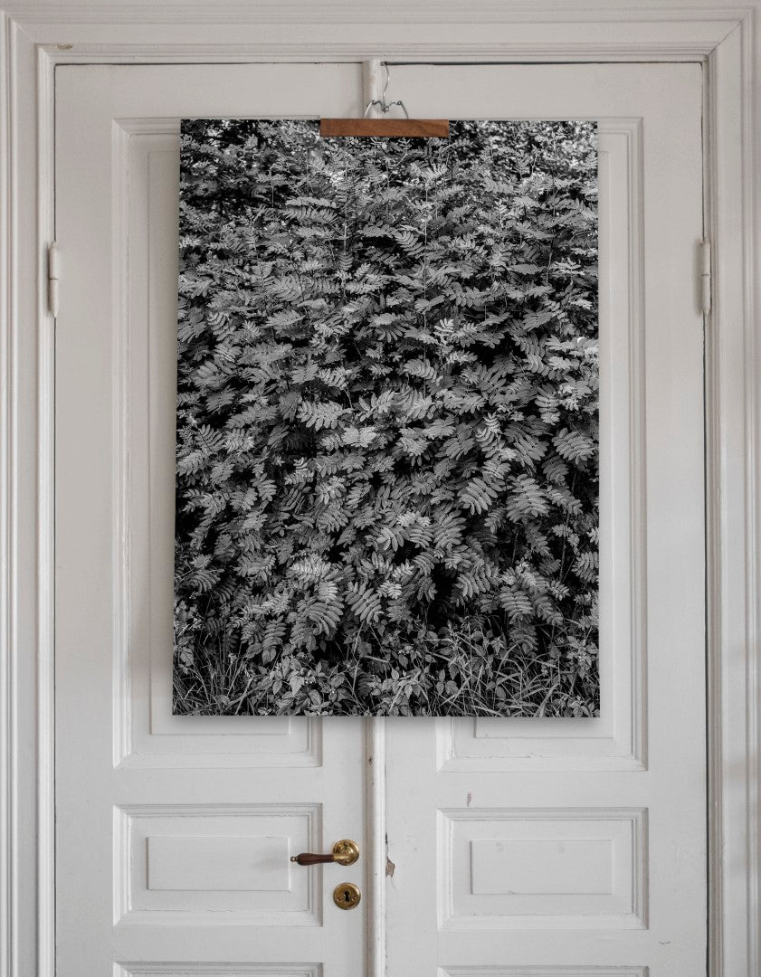 Rowan Print