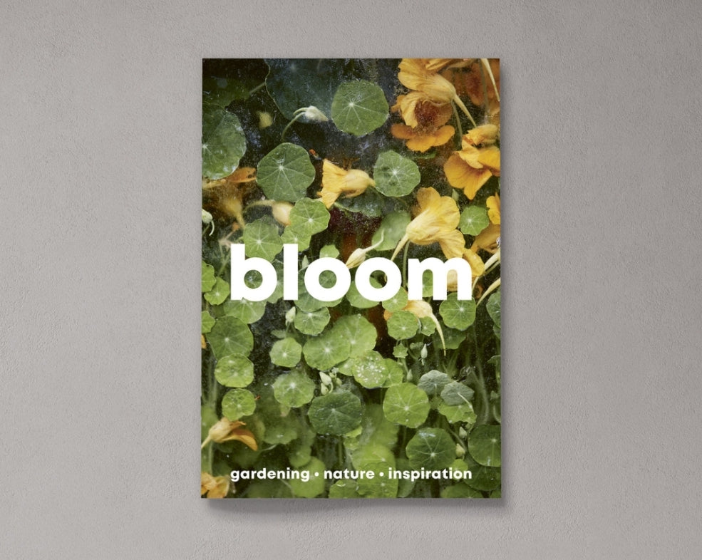 Bloom Magazine | Issue 15