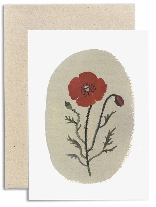 Field Poppy Card