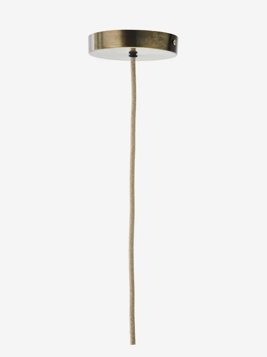 Grass Ceiling Lamp