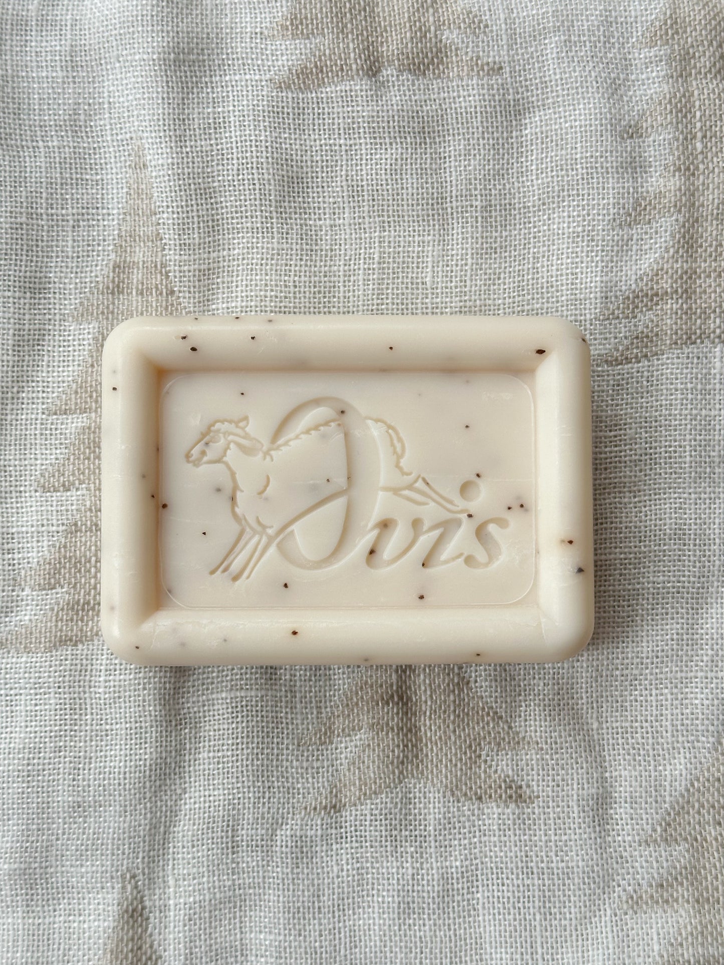 Sheep's Milk Soap | Pina Colada