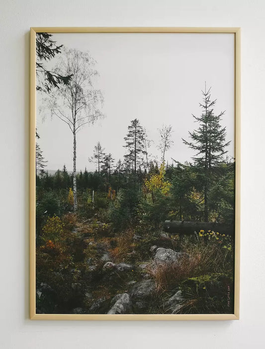 Norrland Print