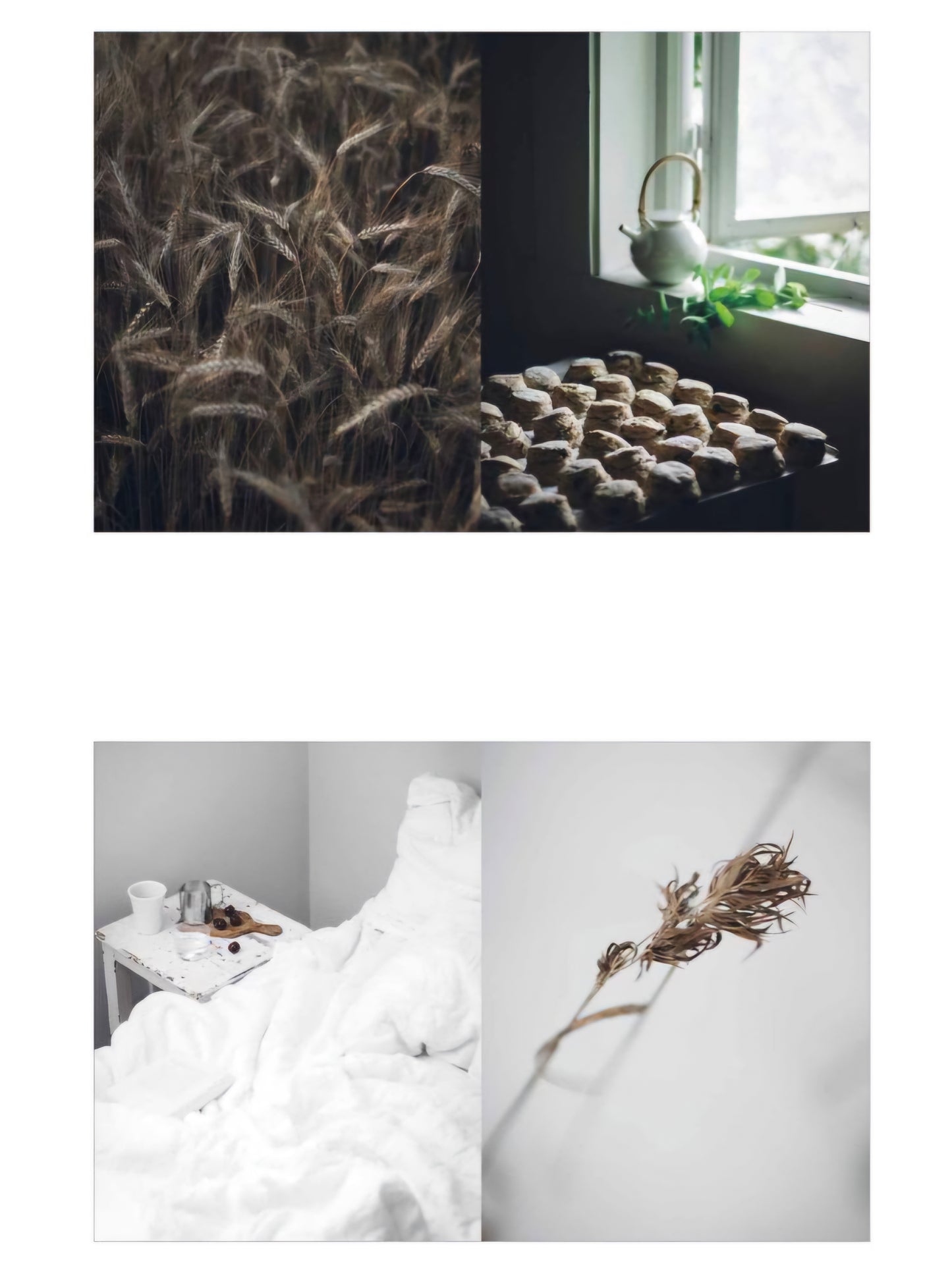 Taste d | Hilde Mork