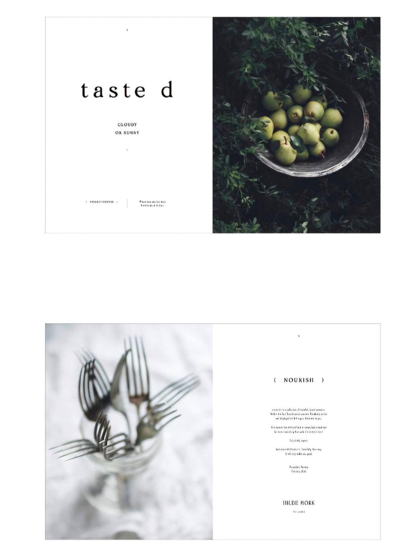Taste d | Hilde Mork