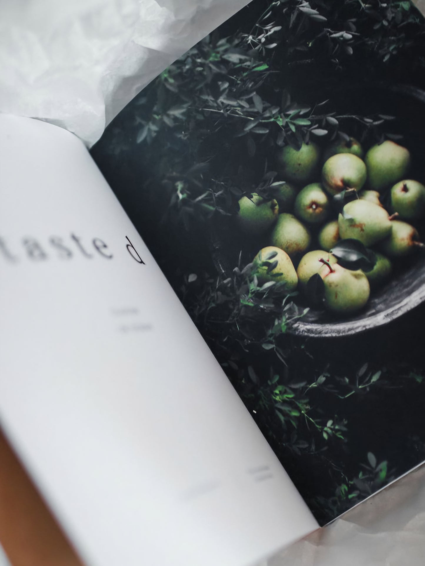 Taste d | Hilde Mork