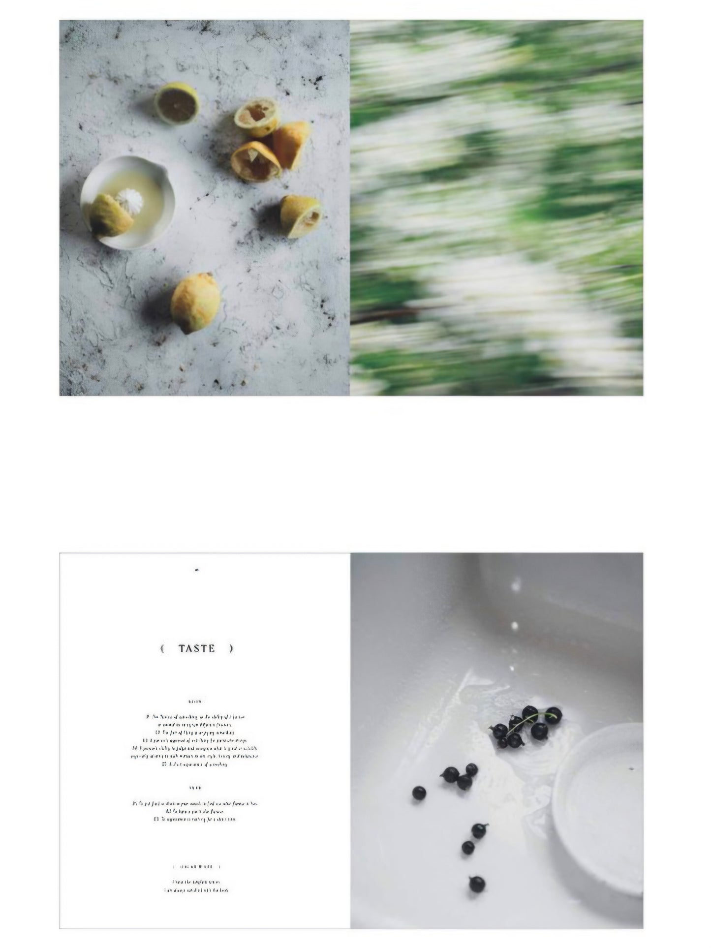 Taste d | Hilde Mork