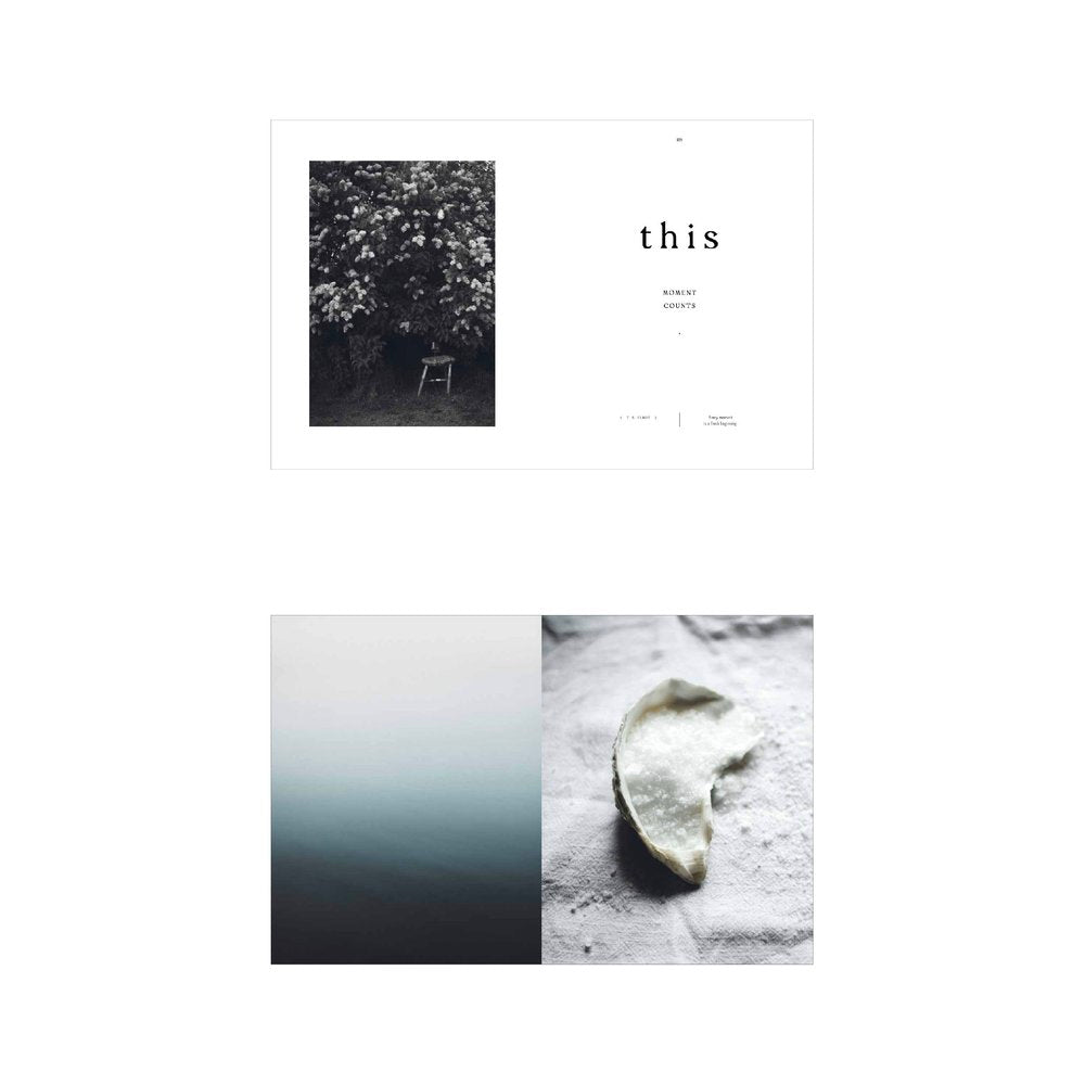 Taste d | Hilde Mork
