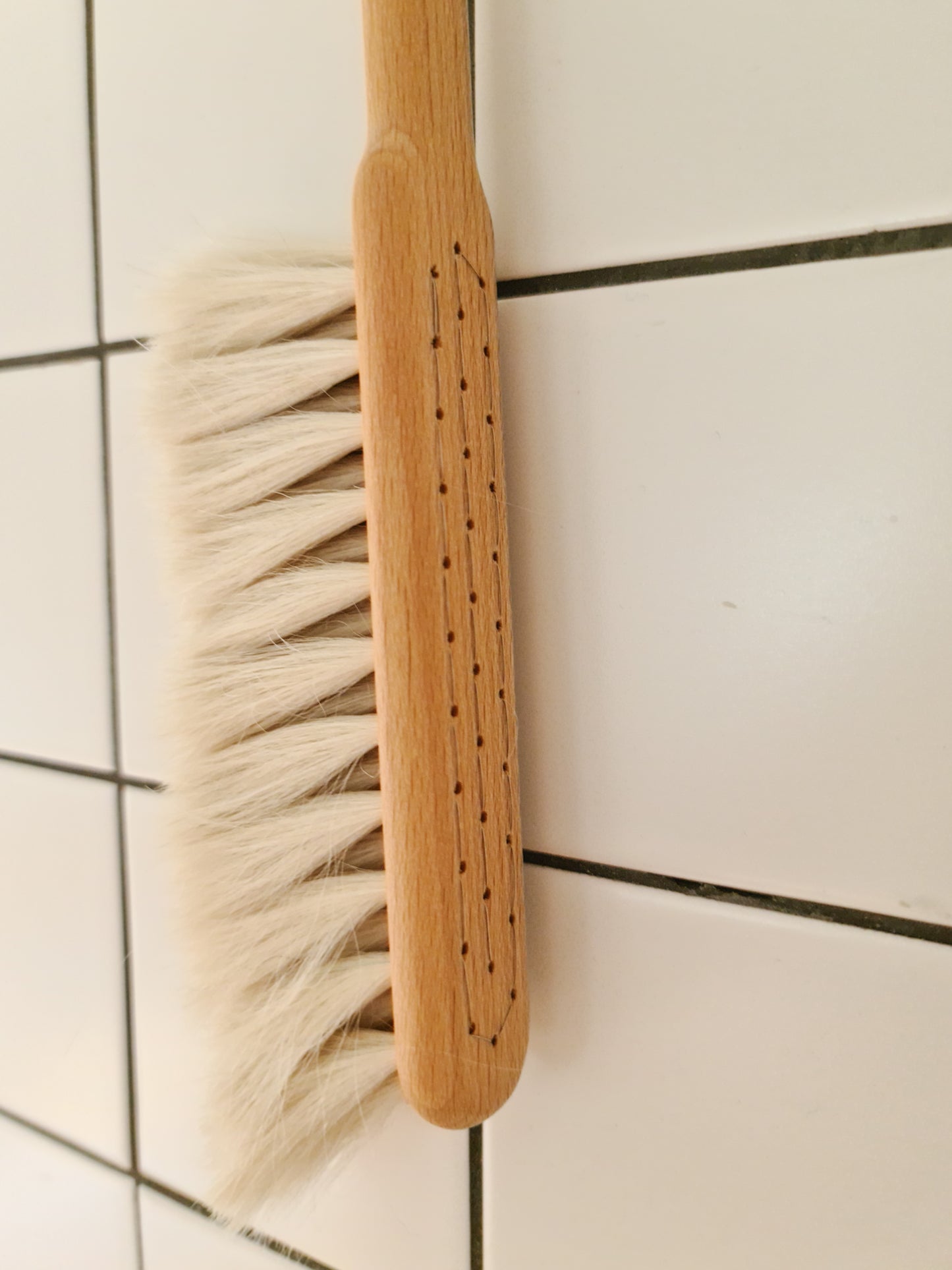 Dust Brush