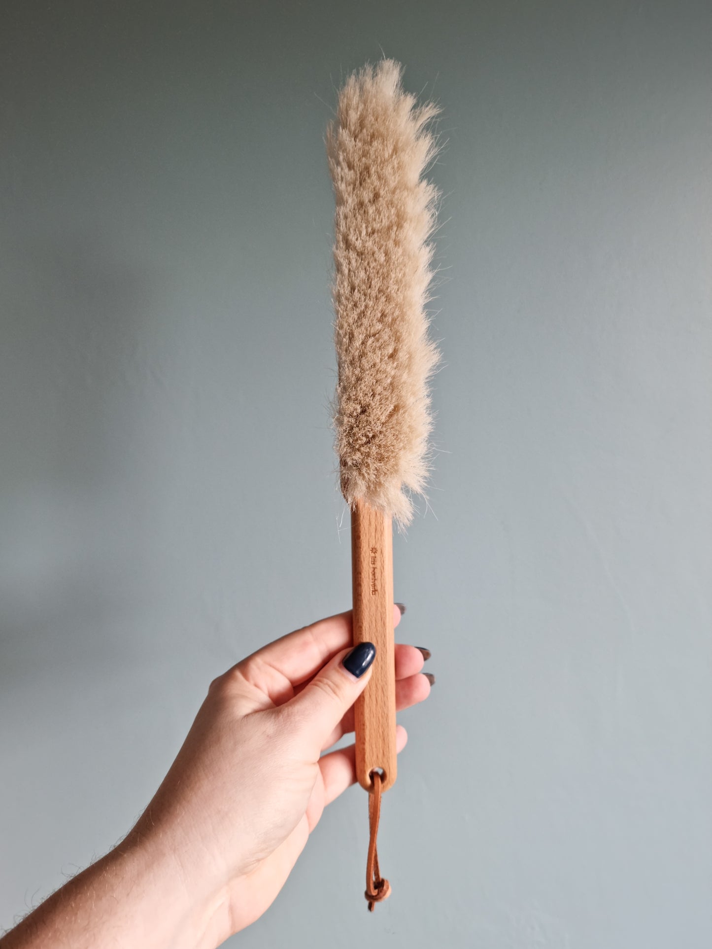 Dust Brush