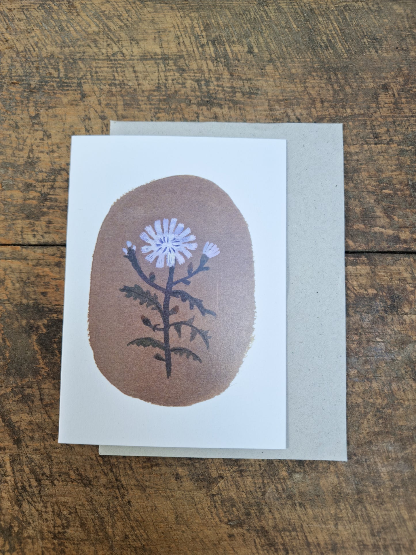 Chicory Card