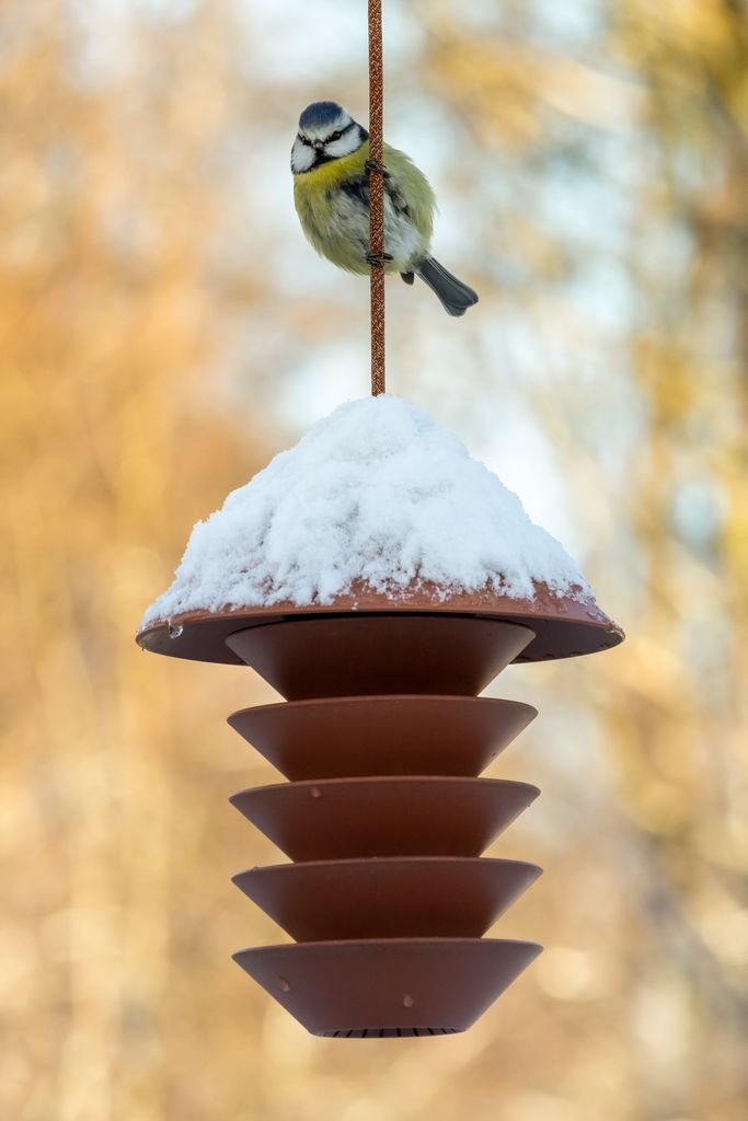 Bird silo outlet